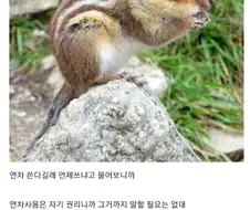 어설프게 아는 ㅅㄲ가 더 짜증남.jpg