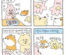 고구마 5분 더 익히고 안 익히고 차이.manwha