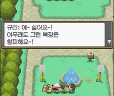 이상한 복장을 입은 포켓몬 관장