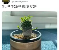 팔...이 생겼는데 괜찮은 것인지