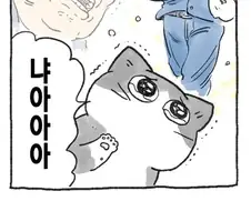 대머리 아저씨가 고양이로 환생한 만화