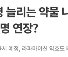 인간은 냅두고 왜 자꾸 동물들만 특이점 맞이하냐.jpg