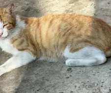 흔히 못보는 것