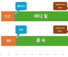 DIO 매미설