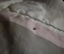 이 시발 ㅈ같은 유부녀새기 ㅋㅋㅋㅋㅋㅋㅋㅋㅋㅋㅋㅋㅋㅋㅋㅋ