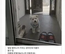 자기네 집이 최고인 이유