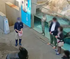 일본 수족관의 흔한 서비스