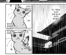 고양이가 용 되는manga