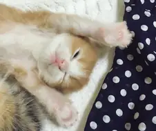 님들아 빨리 들어와서 이거 보셈