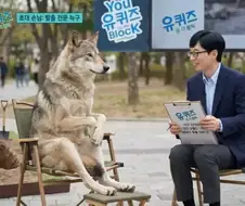 부산 상어 인기 그거 다 한순간이다