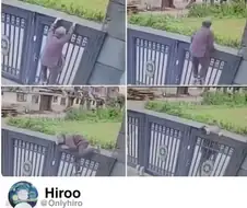 요양원 탈출한 92세 할머니