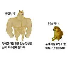 30대 넘으면 공감하는 짤