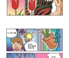 고양이를 죽이면 안되는 이유
