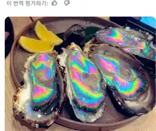 굴 전문점에서 나오는 영롱한 빛의 생굴