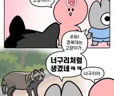 와~ 경북대 고앵이다