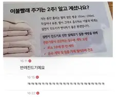 전문가들이 권장하는 이불 빨래 주기
