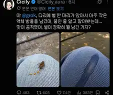 공짜꿀