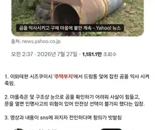 일본의 곰맘