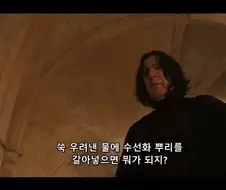 스네이프 제대로 꼽주기