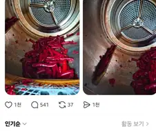 고추를 건조기로 말린 사람