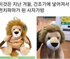 사자가방의 건조기 후기.jpg