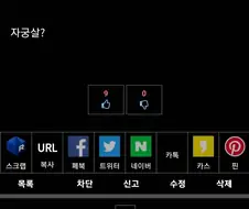 자궁덮개살의 공식명칭을 까먹은 디시인