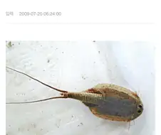 멸종위기종인 줄 알았던 동물
