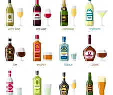 술은 싫어하지만 한번쯤 꼭 해보고 싶은것.txt