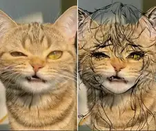 퍼리 이해하기.jpg