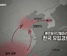 러브버그 한국 유입경로 밝혀져