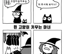 마녀들이 검은 고양이만 키우는 이유