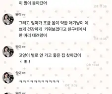 리센느) 원이 고양이 ＇별이＇ ＇루이＇ ＇찡이＇