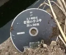 강변에 버려져있는 수상한 물건