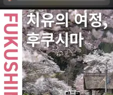 유튜브 광고 진짜 아무거나 다 받는구나