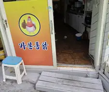 위험한 곳에 들어간 비둘기