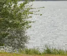 보면 볼 수록 친자매 같은 걸그룹.jpg