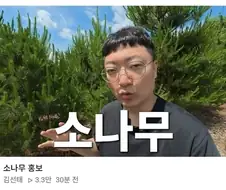 김선태 이제 소나무 홍보까지 하네...