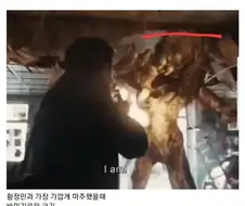 영화 호프 ＇바미기르＇ 크기 비교분석.jpg