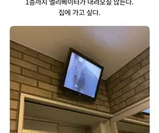 I really want to stay at your house~