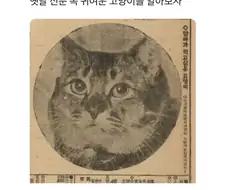 조상님들의 고양이 사랑
