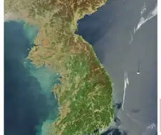 알프레드 노벨을 뛰어넘는 진짜 광기 죽음의 상인