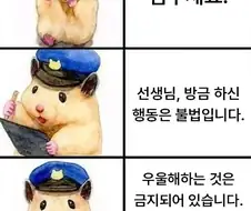 공무집행 하는 경찰 햄스터