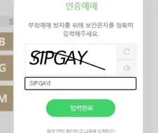 부정예매 방지를 위해 보안문자를 입력해주세요, 십게이야.jpg