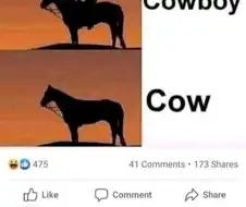 카우보이와 카우