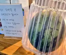 놀라운 수박씨 바르는 기계가 있는 주스가게