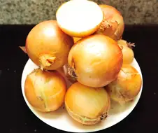 한국인 특징