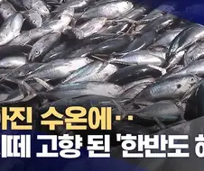 온난화로 인해 우리 밥상에 한걸음 다가온것