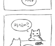 고양이들이 은행터는 만화.manwha