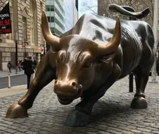 주식) 불장은 火장이 아니라 Bull장임