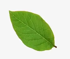 의외로 의미가 잘못 전달된 것